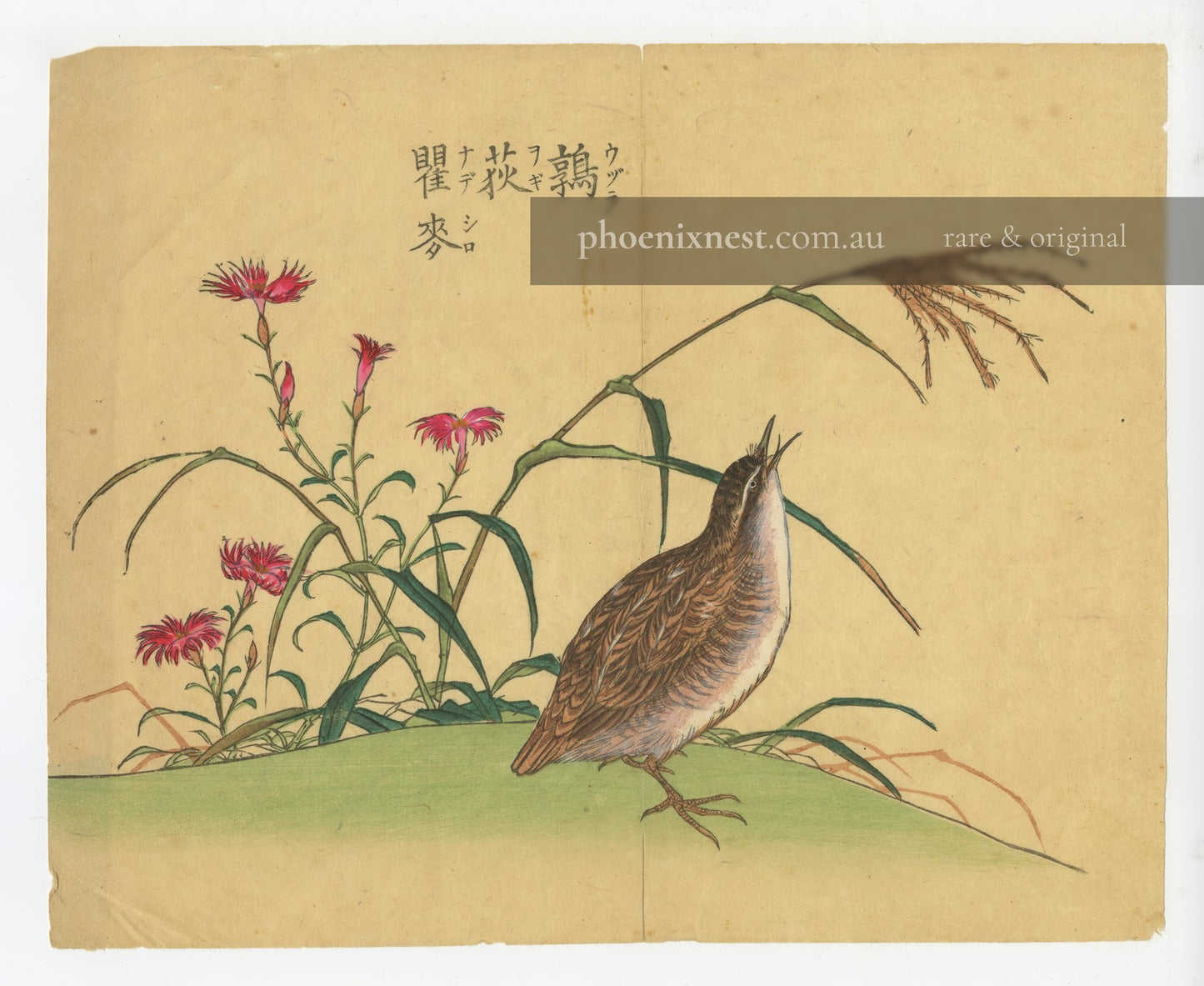 Quail and Dianthus (Uzura to Nadeshiko)