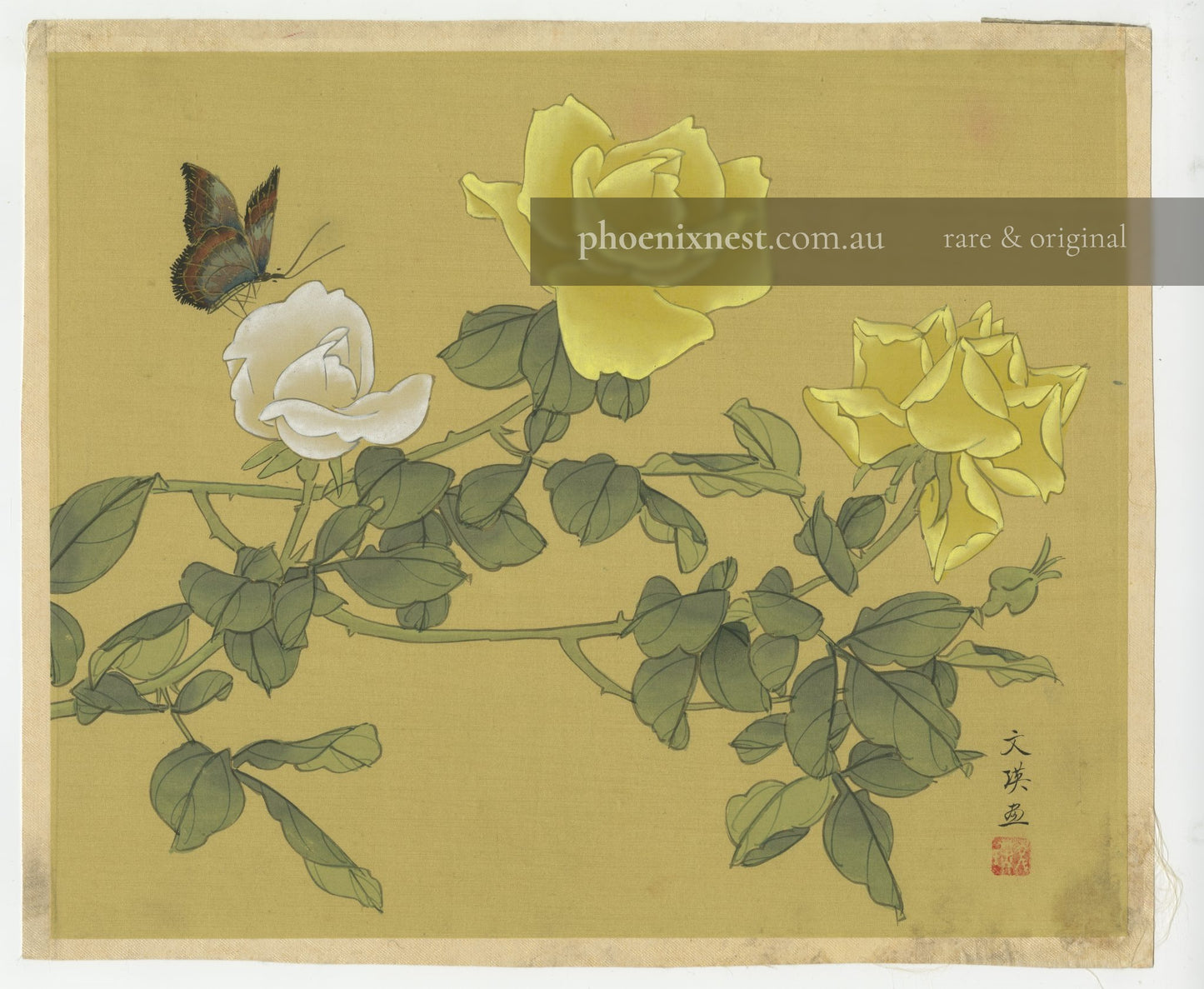 Roses and Butterfly
