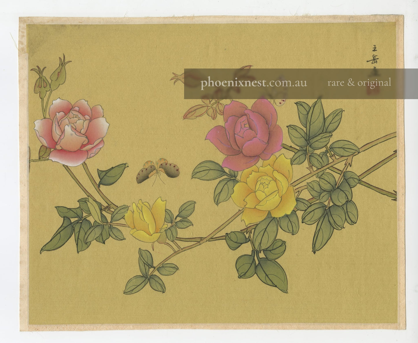 Roses and Butterflies