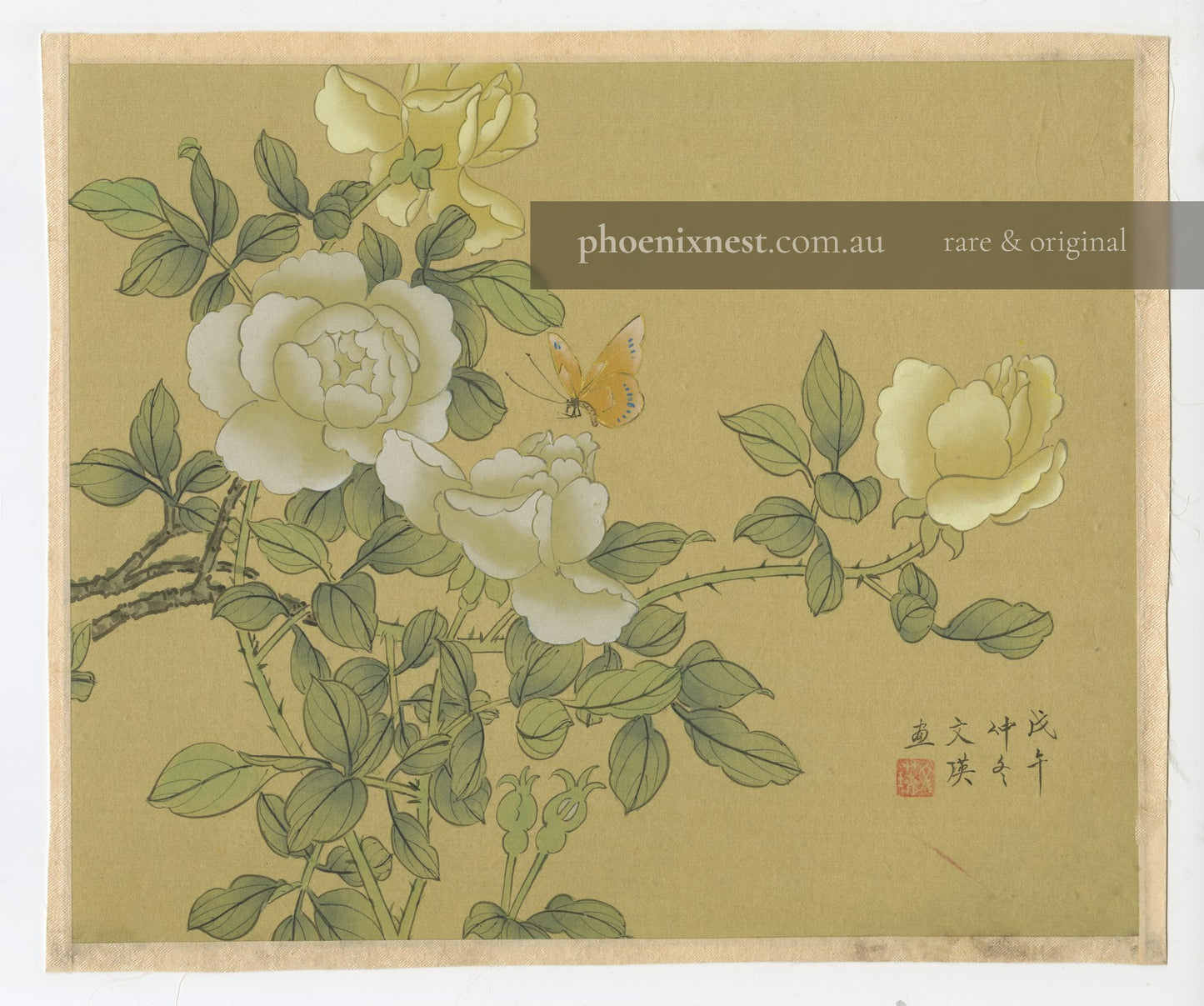 White and Yellow Roses with Butterfly