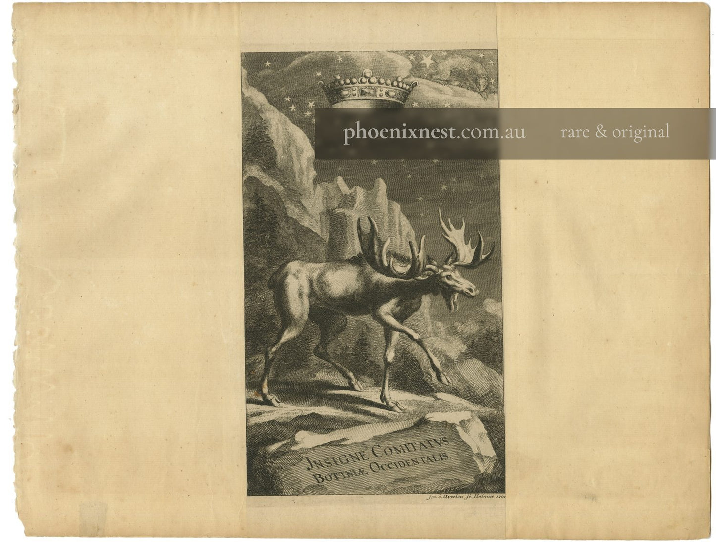 Moose, Emblem of West Bothnia — Aveelen