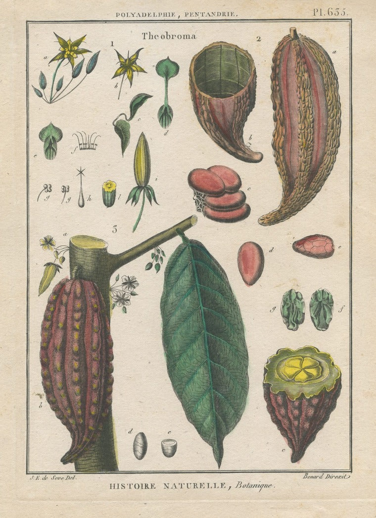 1793 Encyclopédie Méthodique