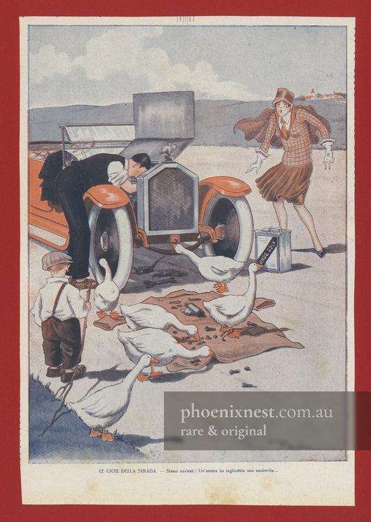 Joys of the Road, Geese — Pem