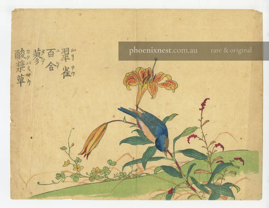 Bird and Lily