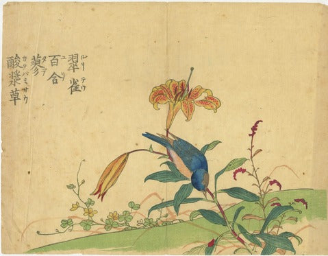 Bird and Lily