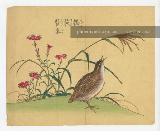 Quail and Dianthus (Uzura to Nadeshiko)