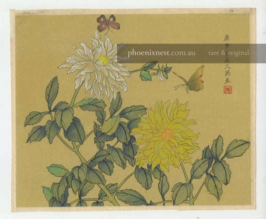 Chrysanthemums and Butterflies
