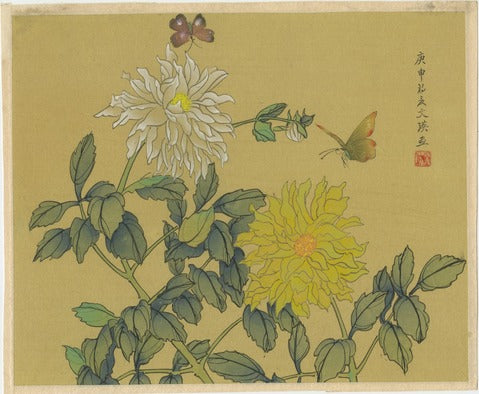 Chrysanthemums and Butterflies