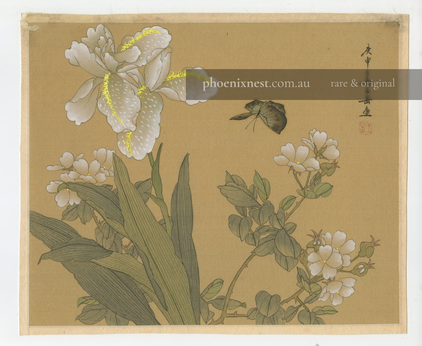 Irises and Wild Roses with Butterfly