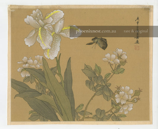Irises and Wild Roses with Butterfly