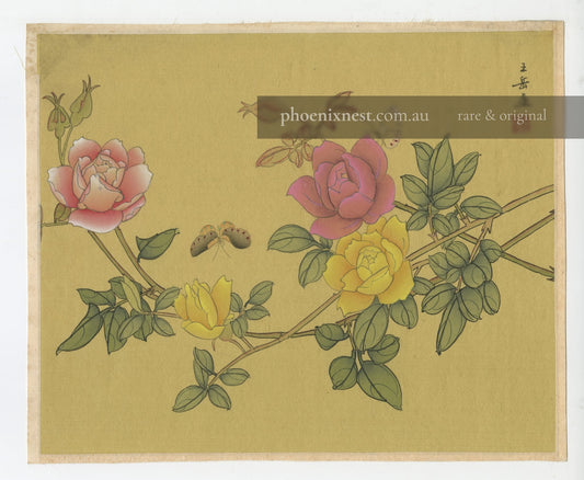 Roses and Butterflies