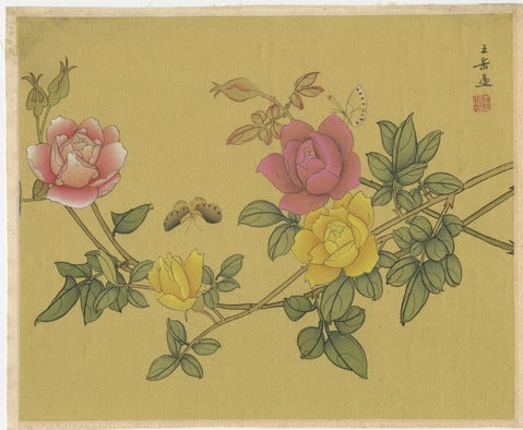Roses and Butterflies