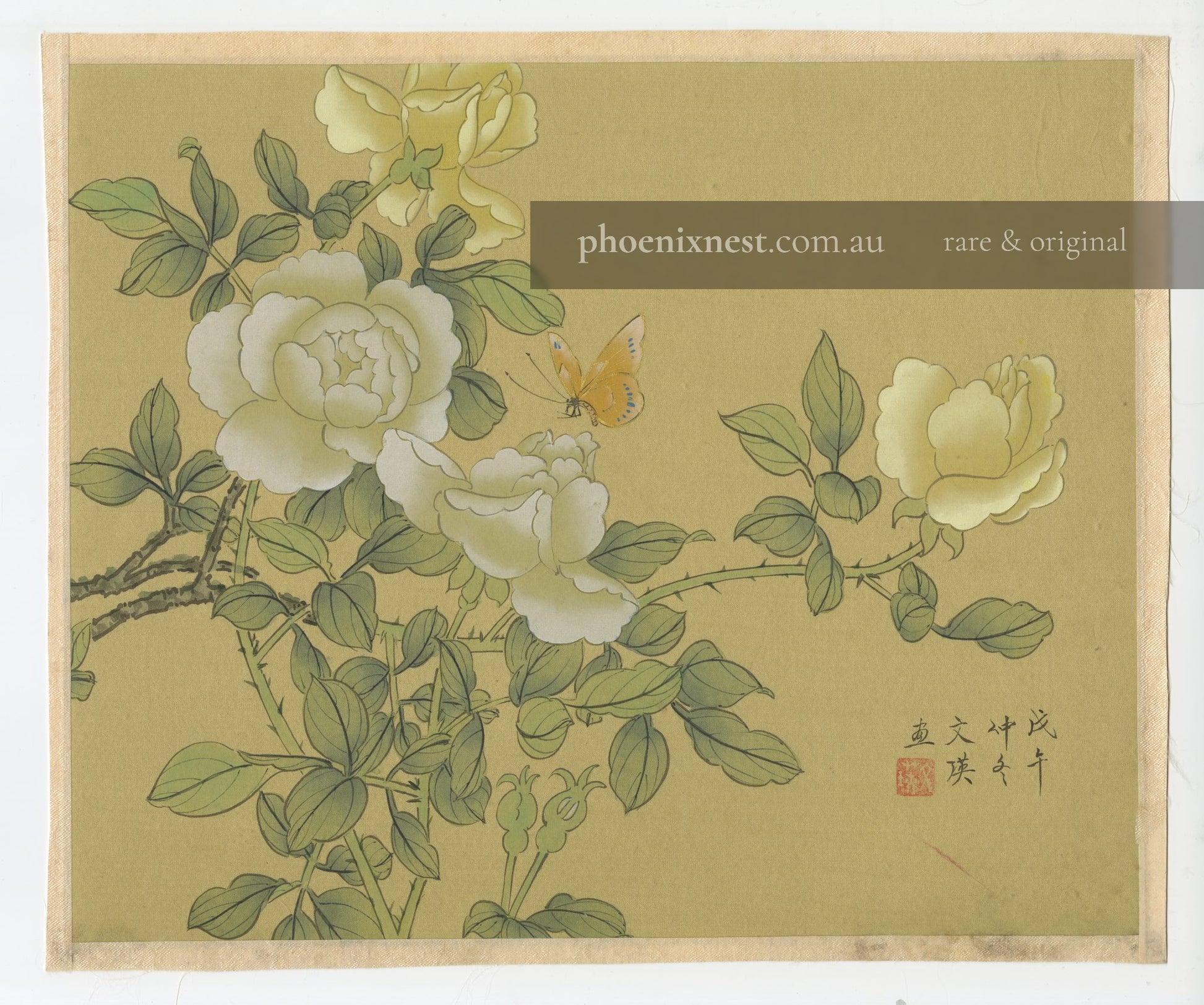 White and Yellow Roses with Butterfly