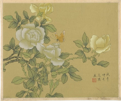 White and Yellow Roses with Butterfly