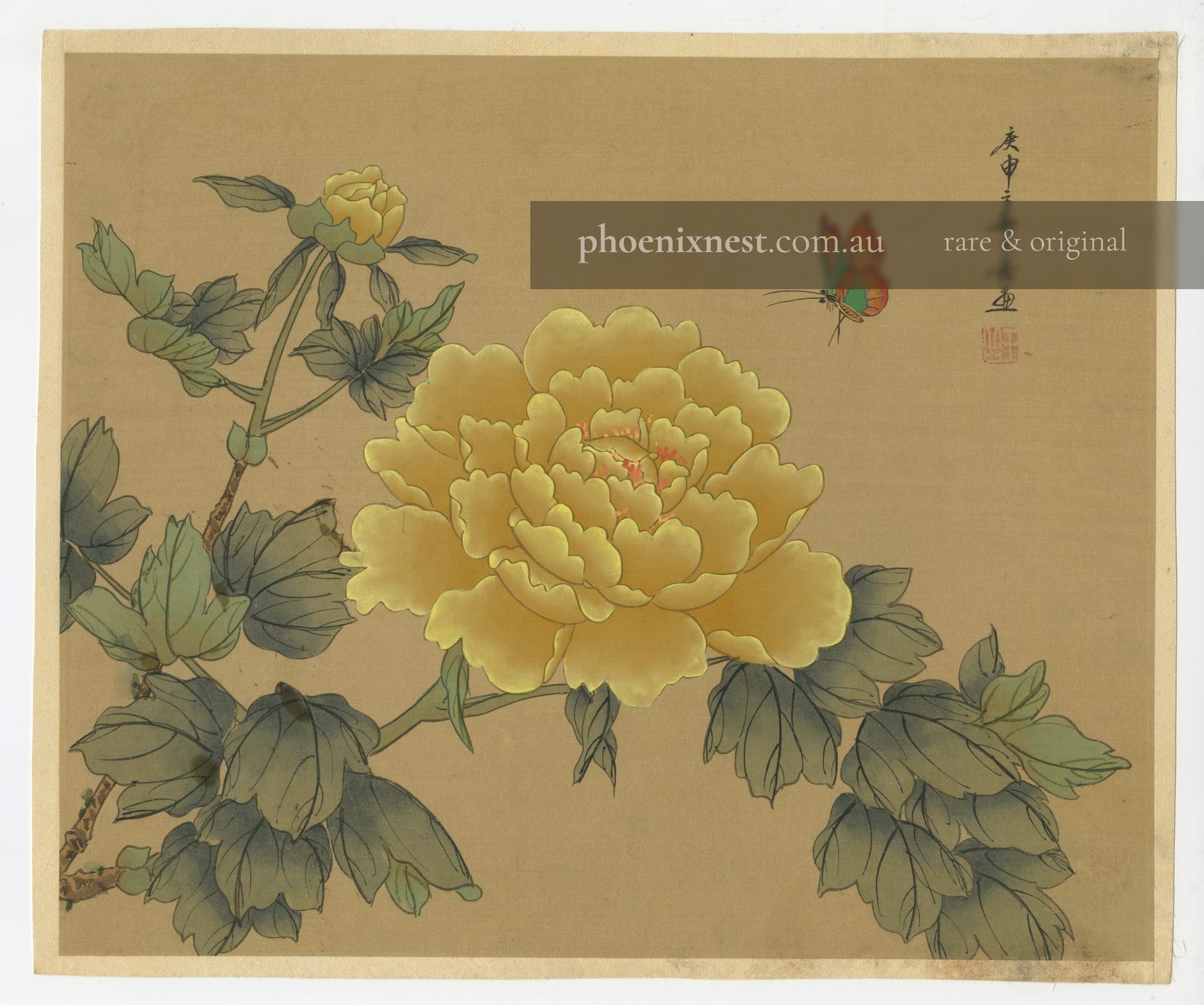 Peony and Butterfly