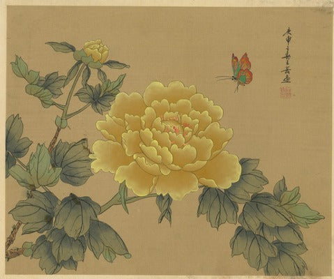 Peony and Butterfly