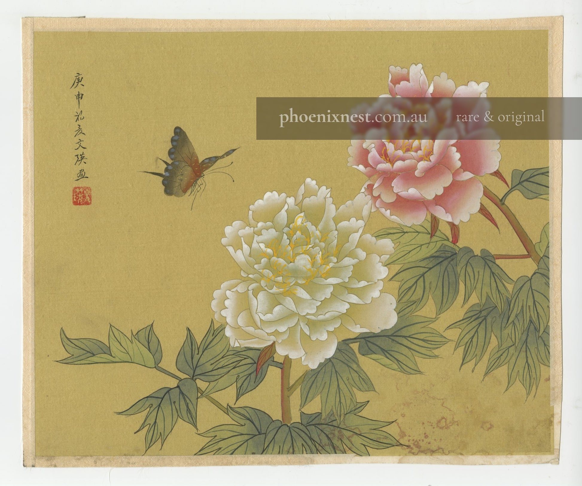 Peonies and Butterfly