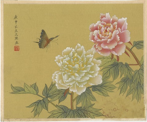 Peonies and Butterfly