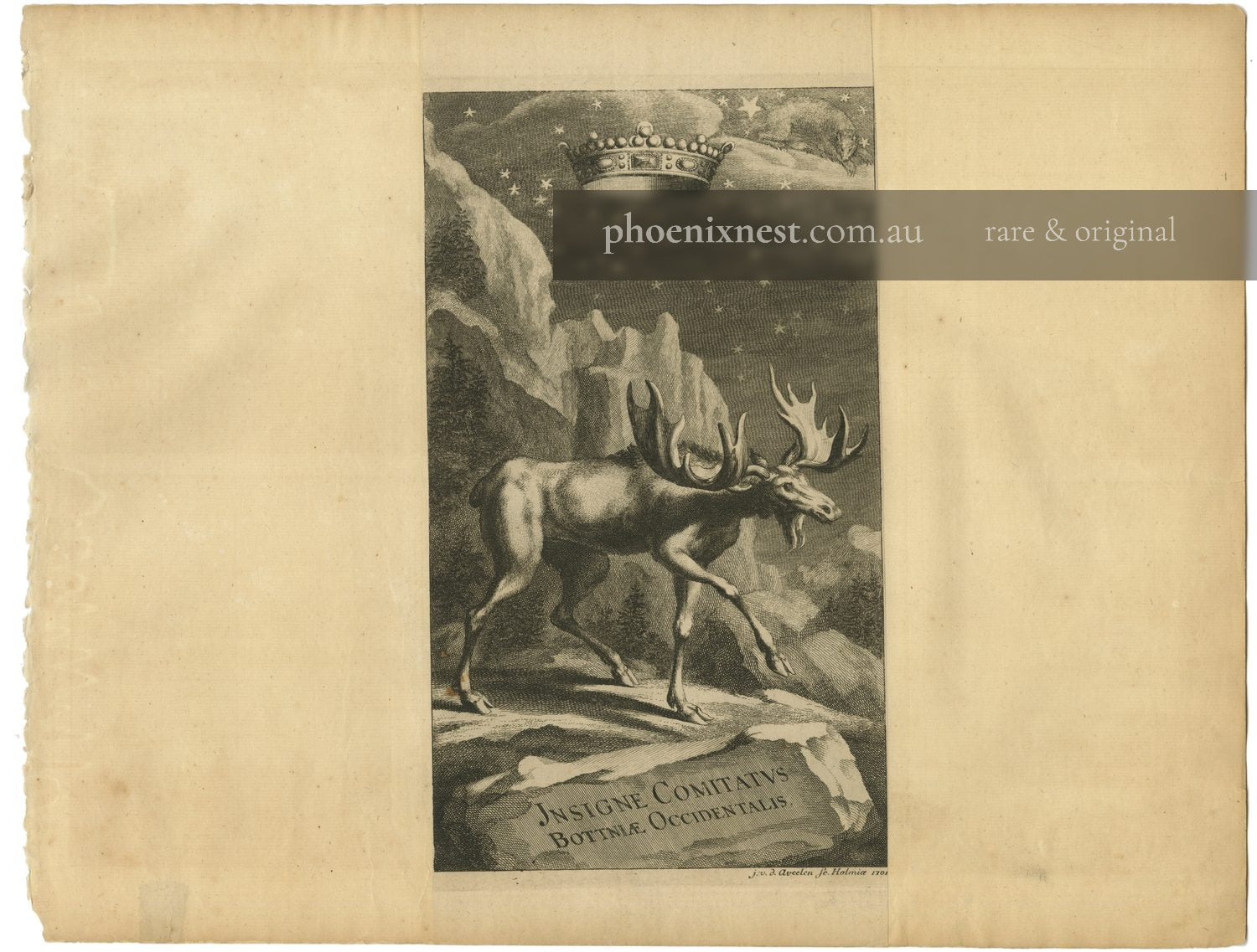 Moose, Emblem of West Bothnia — Aveelen